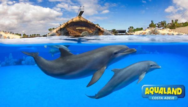 Royal Ocean View - Top Localization Costa Adeje  Bagian luar foto